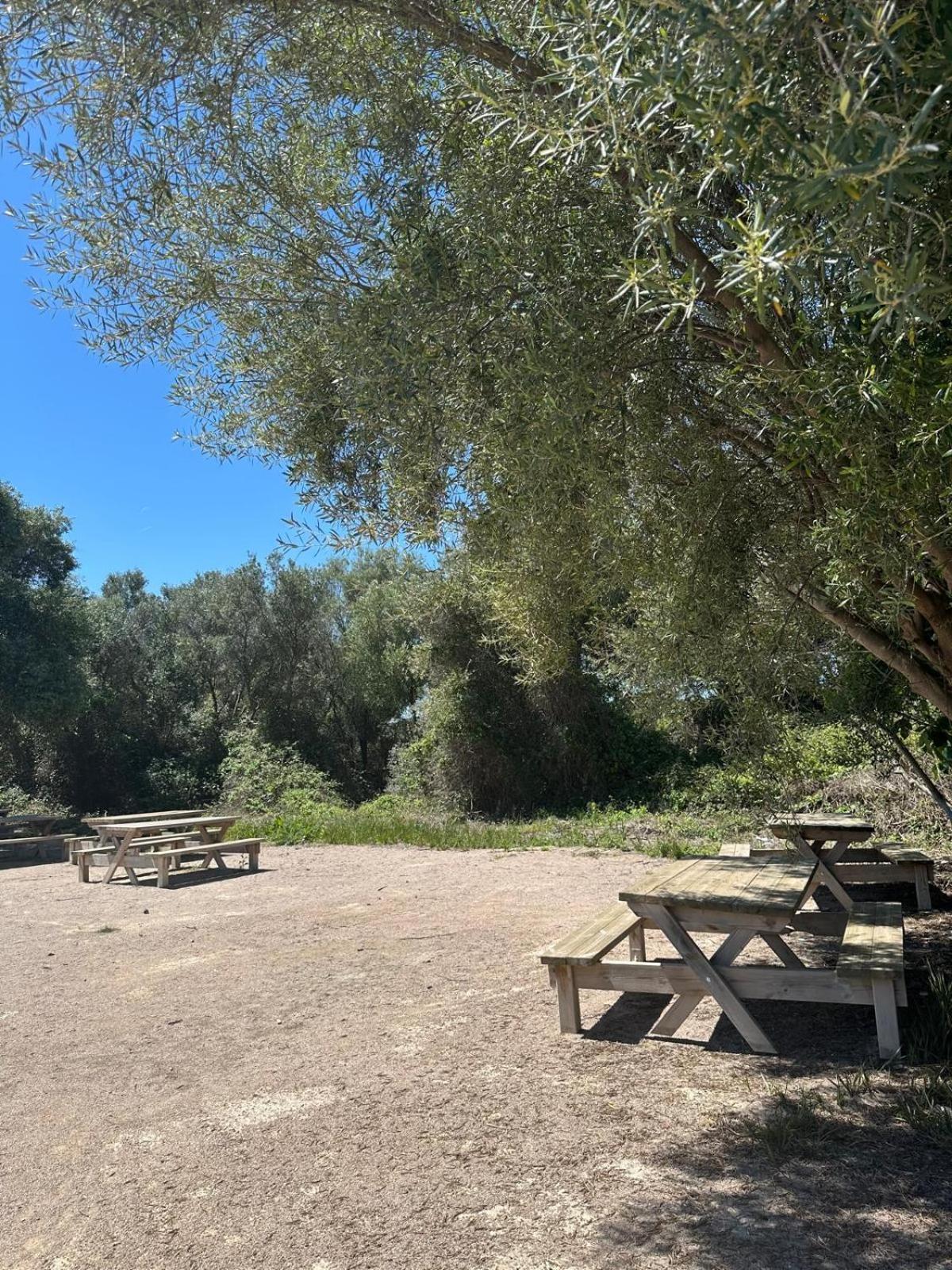 Apartamento Barbacoa, Piscina Y Playa Puebla de Farnals Exterior foto